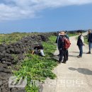 행원환해장성 이미지