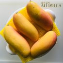 마하 주식회사 이미지