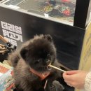 즐거운짜장