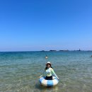 베이스캠프오도민박 | 포항 동해안 오도리 해수욕장 스노쿨링, 숙소 추천(오도베이스캠프)