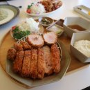 고향연화 이미지