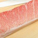 인생참치 이미지