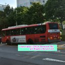칠곡부영1단지네거리 네이버블로그