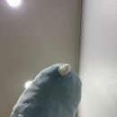 미모아피부과의원 이미지