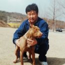 빅타 이미지