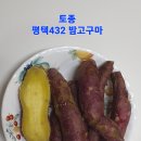 평택432 밤고구마 맛보기 이미지