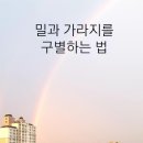 연중 제16주간 토요일(수원교구 전삼용 요셉 신부) 이미지