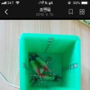 목포 무안 3D 프린터 UV LED 에기 축광기 쭈꾸미 낚시 기본장비 실사용 고객님 후기 답변 100mm X 100mm