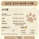출근길 강아지 유치원 네이버블로그