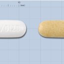 알레그라 이미지