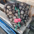 벌교꼬막 직거래 유통 이미지