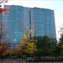 경기도 수원시 팔달구 효원로307번길 97 (인계동, 한화 꿈에그린 효원 101동) 이미지