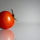 황등농장 이미지