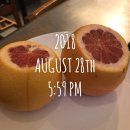 자몽호스텔 이미지