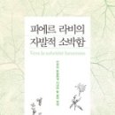 피에르존