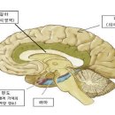 마인드앤헬스의원 이미지