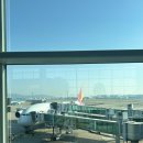 세븐일레븐(송도반도타워점) | [일본/도쿄] DAY1 긴자, 신주쿠, 시부야