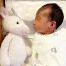 (주)지냄 | 산후조리원ㅣ청담마리더블레스 스위트룸 2주 이용 후기 (두번째 방문)