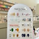 누아(nuah) 이미지