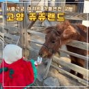 덕양가축인공수정소 | 고양 ‘쥬쥬랜드’ 내돈내산후기 : 실내외 동물체험 경기도 아기랑 가볼만한 곳 24개월 무료