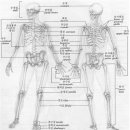 슬기로운 GYM 이미지