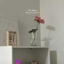 5월 일상