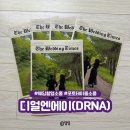 타임즈 | 웨딩촬영 소품 추천, 디얼엔에이(DRNA) 미니 웨딩타임즈 제작 후기