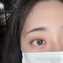 디테일아지트 - 12442 | 디테일아지트