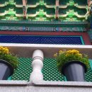 미림화원 이미지