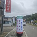 대성약업사 이미지