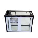 구피랑베타랑