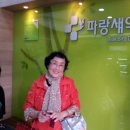 파랑새약국 이미지