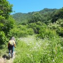 은티농장 이미지