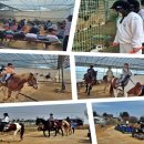 화도초등학교 이미지