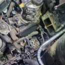 219모터스 이미지