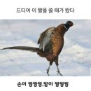 김충기꽃삼겹 경산시지점 | 1월 𝙷𝚒 :-)