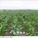 현대농장(4) 이미지