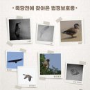 'Netizen Photo News' '2021. 8. 18 ~ 8. 19'(수~목) 이미지