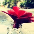 THE APPROACH 이미지