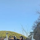 서울댄스스포츠학원 이미지