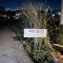 죽성쌀롱 네이버블로그