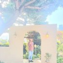 [기장] 한옥스타일 카페 [포레스트] 이미지