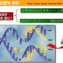 질병, 노화와 DNA 핵산 -유전자강의(6) 이미지