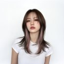 스위치헤어 머니투데이
