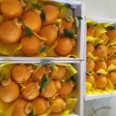 왕눈이농장 이미지