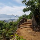 달마고도 이미지