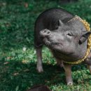 저동농장 이미지