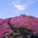 지리산 바래봉 철쭉 및 허브밸리 축제 이미지