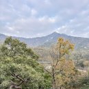 비버리힐즈펜션1 이미지