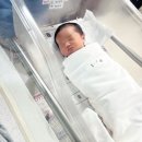 오티메디 | [산후조리원1-2일차]울산동구 로즈메디산부인과 조리원 라이프